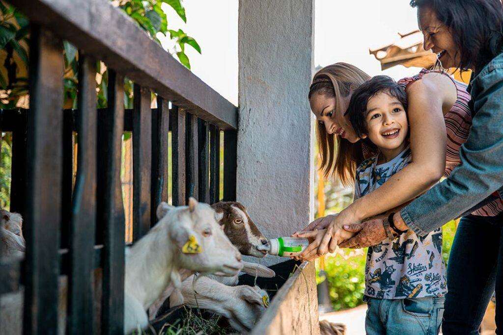 img parque nacional del chicamocha atraccion la granja de paco felices alimentando a paco